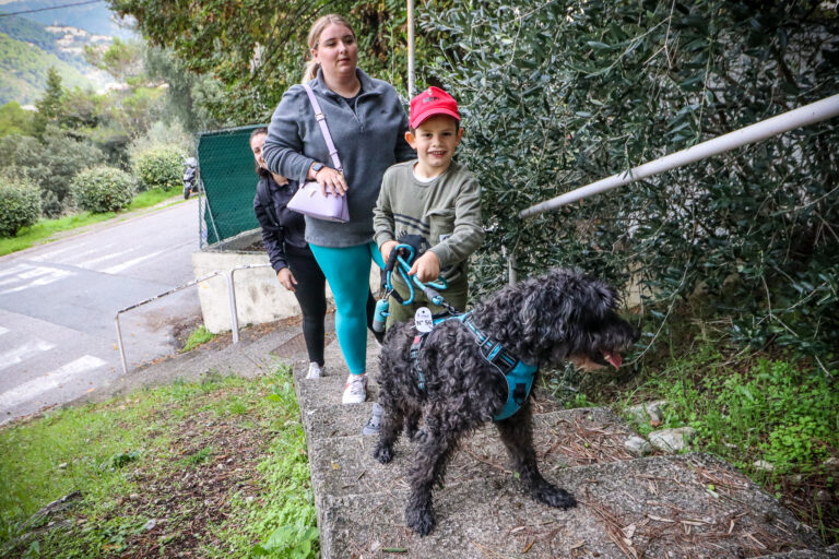 canicross, chiens, course, cite, rostit