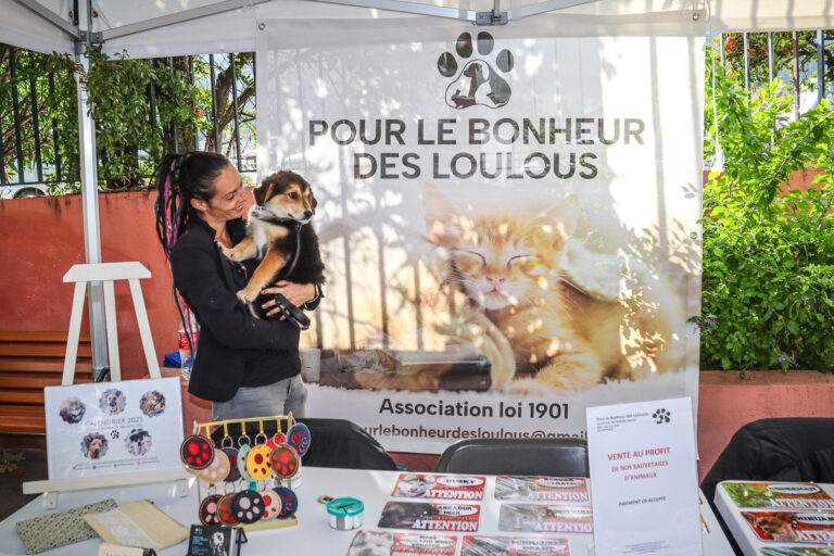 canicross, chiens, course, pasteur