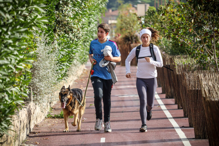 canicross, chiens, course, suarez