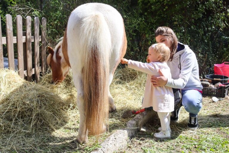 2025 05 24 3e Fête De L'Olivier, De La Nature Et De La Biodiversité 06