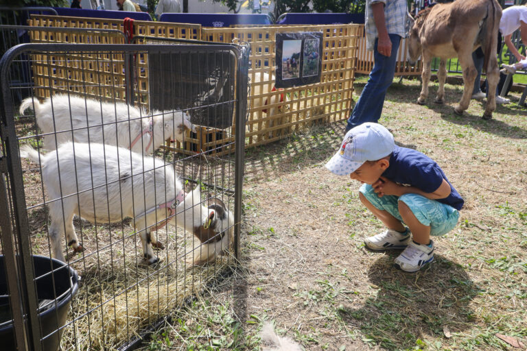 2025 05 24 3e Fête De L'Olivier, De La Nature Et De La Biodiversité 10
